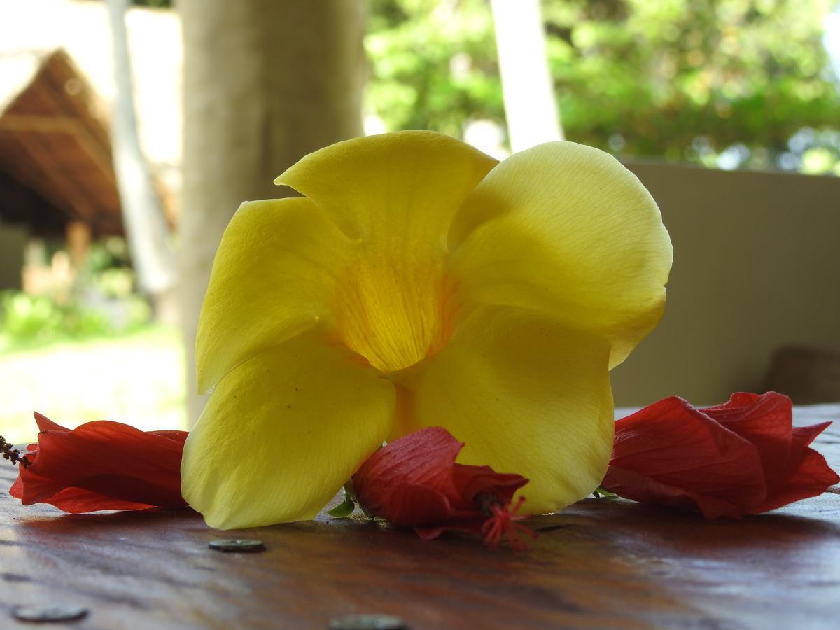 Mafia Kivulini Lodge Mafia Island Экстерьер фото